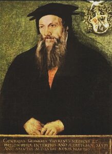 Portrait by Tobias Stimmer, c. 1564 / Retrato de Tobias Stimmer, c. 1564